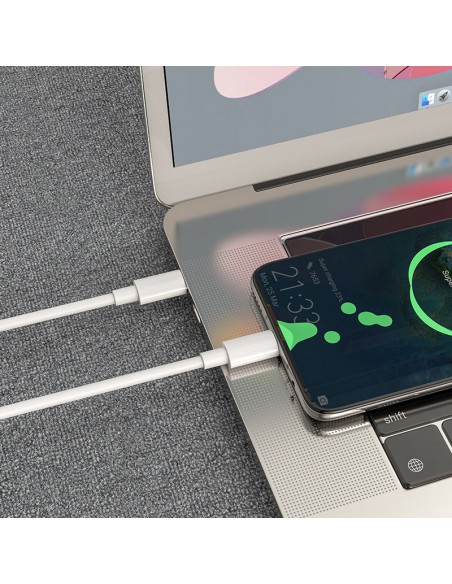 USB kabelis Hoco X51 iš Type-C į Type-C 20V 5A 100W 1.0m baltas