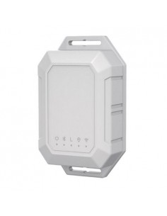 GPS sekimo įrenginys, LoRaWan tinkle
