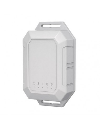 GPS sekimo įrenginys, LoRaWan tinkle