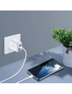 Įkroviklis buitinis Dux Ducis C10 2xUSB-A 12W baltas 2