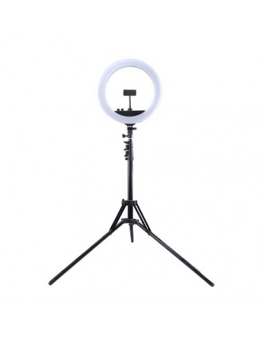 LED žiedinė lempa 34.5cm, su trikoju stovu iki 1.85m, veidrodžiu ir telefono laikikliu, USB
