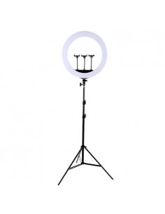 LED žiedinė lempa 45cm, su trikoju stovu iki 2.1m