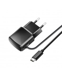 Įkroviklis Blue Star 10W MicroUSB juodas